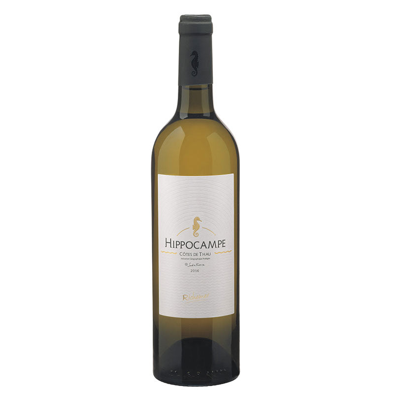 Hippocampe Blanc 2022 - Chardonnay, Sauvignon Blanc & Viognier - 75CL - 13% Vol.