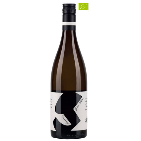 Grüner Veltliner Dornenvogel 2023 Weingut Glatzer 75CL 13 Vol.