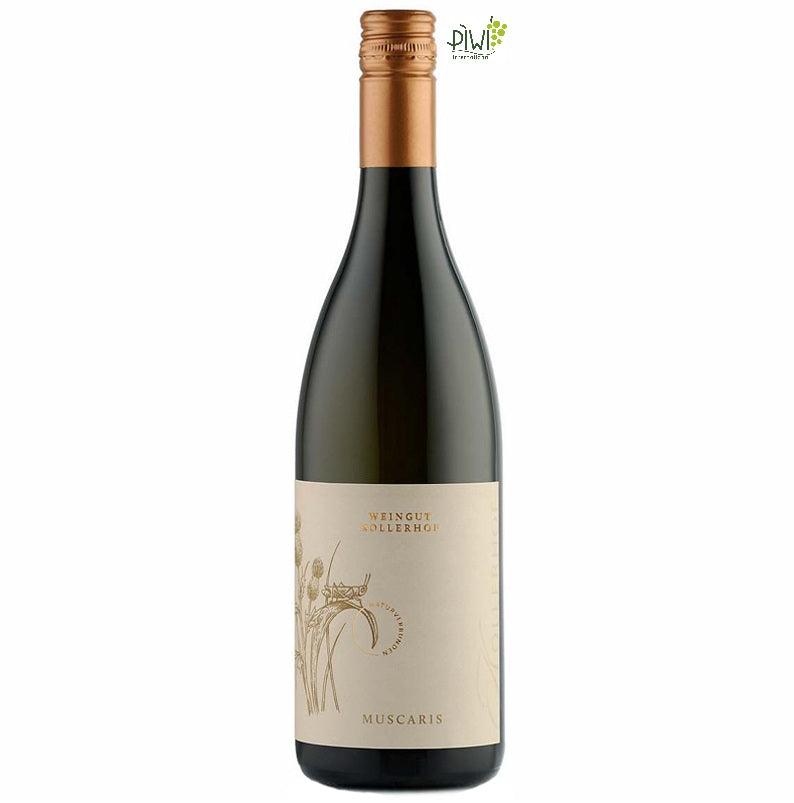 Muscaris trocken 2023 - 75CL - 11,5% Vol.